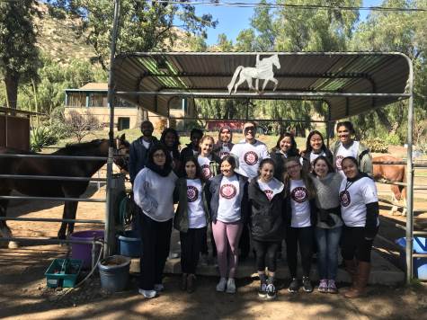 The Magic Horse Therapeutic Riding Center