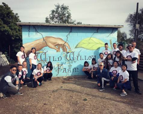 Wild Willow Farm & Education Center